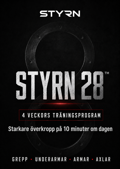 STYRN 28 (E-BOK)