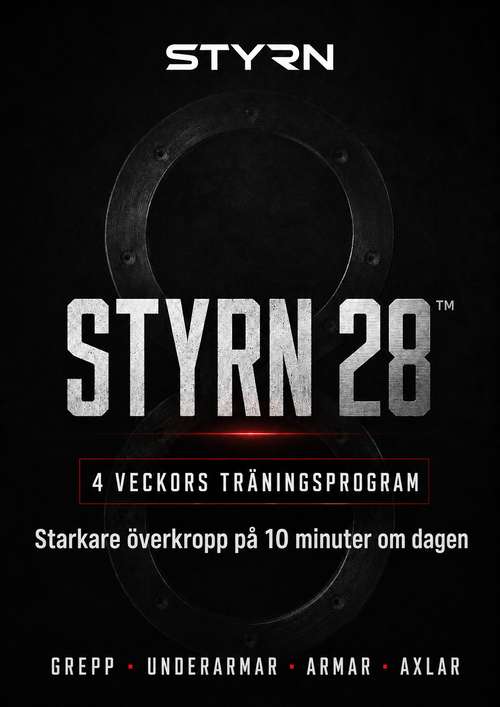 STYRN 28 (E-BOK)