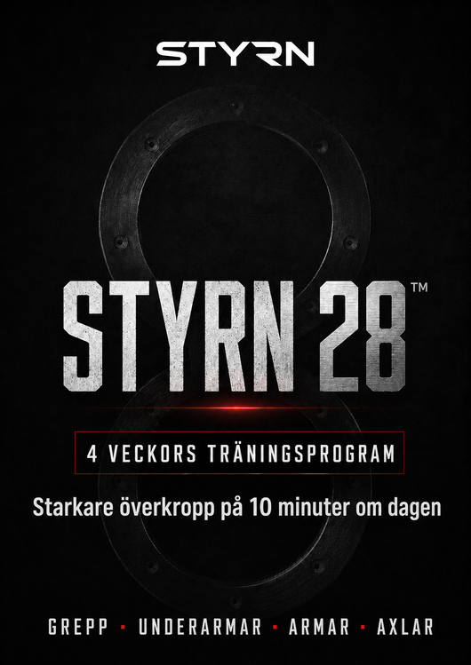 STYRN 28 (E-BOK)