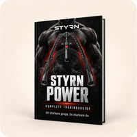 STYRN POWER (E-bok)