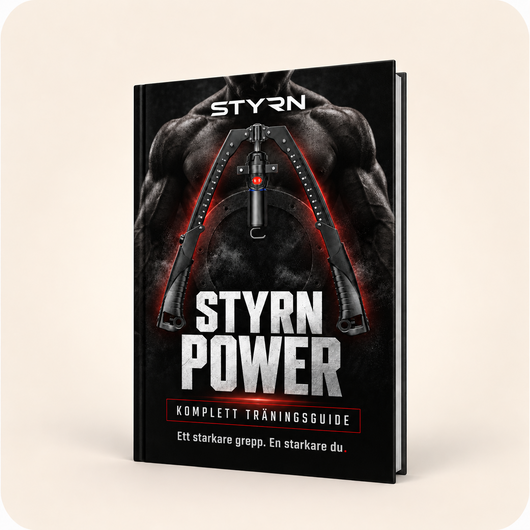 STYRN POWER (E-bok)