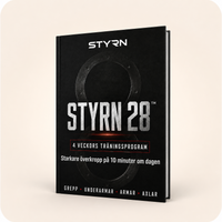 STYRN 28 (E-BOK)