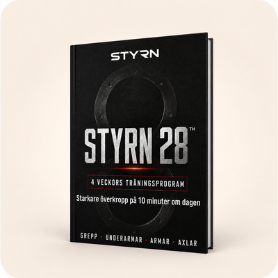 STYRN 28 (E-BOK)