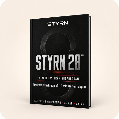 STYRN 28 (E-BOK)