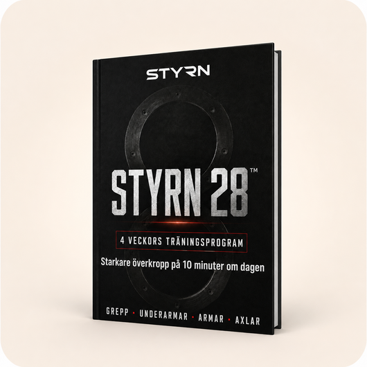 STYRN 28 (E-BOK)
